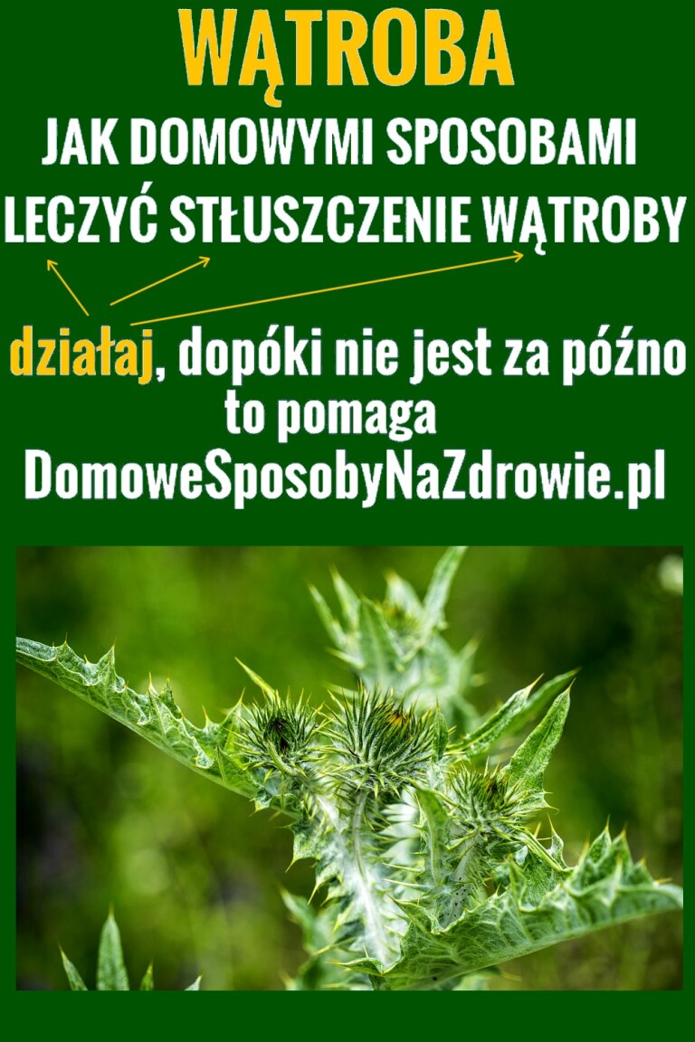 WĄtroba Jak Domowymi Sposobami LeczyĆ StŁuszczenie WĄtroby Domowesposobynazdrowiepl 3791