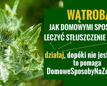 DomoweSposobyNaZdrowie.pl-watroba-na-stluszczenie-watroby