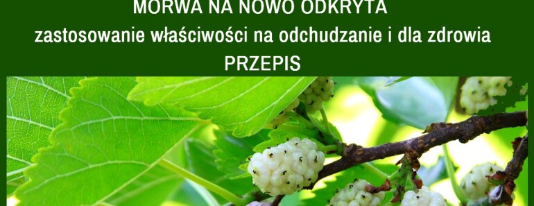 DomoweSposobyNaZdrowie.pl-morwa-biala-wlasciwosci