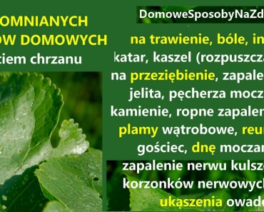 DomoweSposobyNaZdrowie.pl-chrzan-przepisy