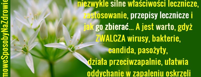 DomoweSposobyNaZdrowie.pl-czosnek-niedzwiedzi-domowe-sposoby-przepisy